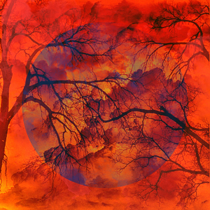 Freeing Dawn