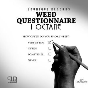 **** Questionnaire