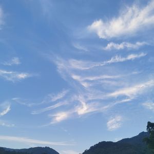掌纹潮汐