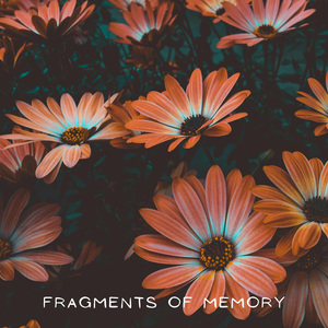 Fragments Of Memory