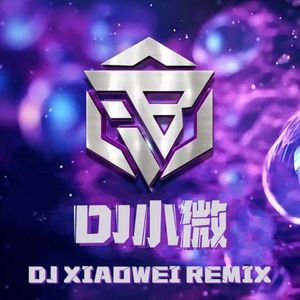 野狼disco(nstrumental Remix)