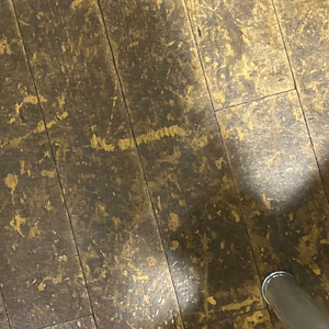 エイジスリフレクター