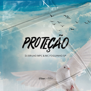 Proteção