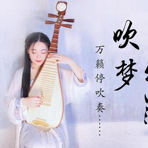 【琵琶】吹梦到西洲-乐落清音