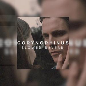 Batman Begins (Corynorhinus) [deep slowed]