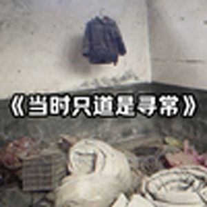 大型纪录片《当时只道是寻常》