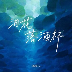 泪花落酒杯-男童完整版