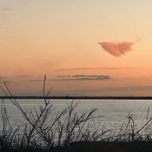 菩萨蛮·花明月暗笼轻雾