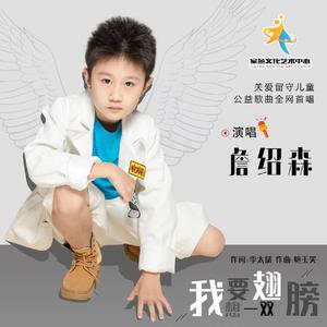 我想要一双翅膀