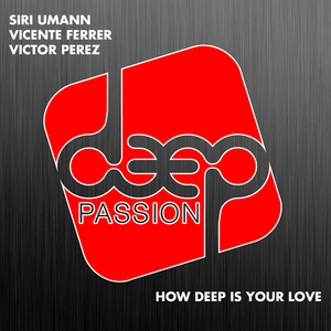 How Deep Is Your Love (Radio Edit)
