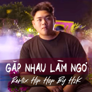 Gặp Nhau Làm Ngơ (Remix)
