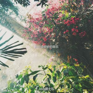 读抒情的轻音乐