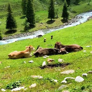 那天你走了-整曲