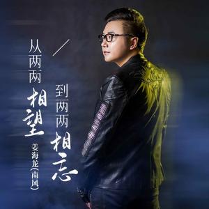 从两两相望到两两相忘 (DJ彭锐版)