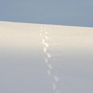 壮士一去兮不复还