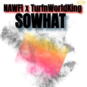 So What (feat. Turfnworldking)