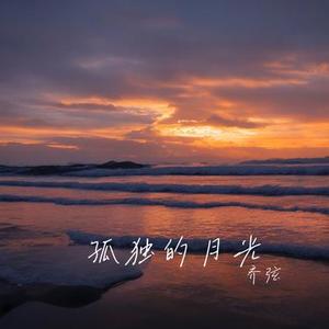孤独的月光