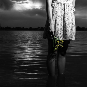 Flowers in September