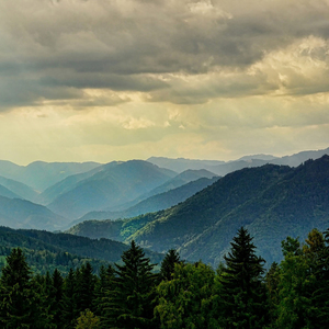좋은 꿈 (피아노자장가)