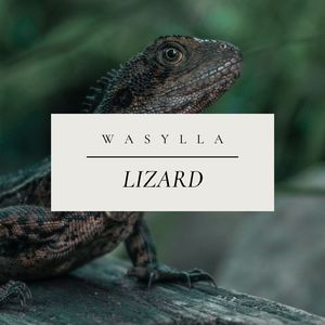 Lizard