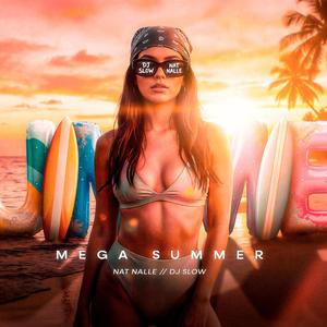MEGA SUMMER