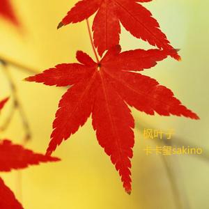 枫叶子（器乐版）