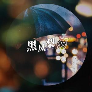 黑凤梨（翻自 洛天依）