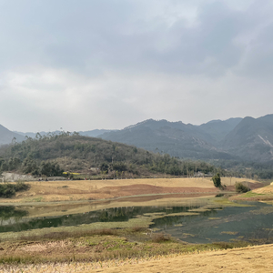 既然选择了行走