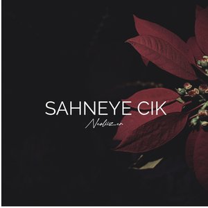 Sahneye Cık