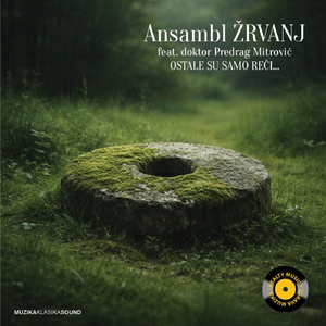 Branka (feat. Doktor Predrag Mitrović)