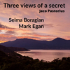 Mark Egan - Three Views of a Secret (Luminous Mix)