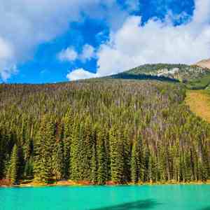 神秘之夜 (舒缓曲)