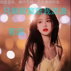 只剩寂寞陪我流浪