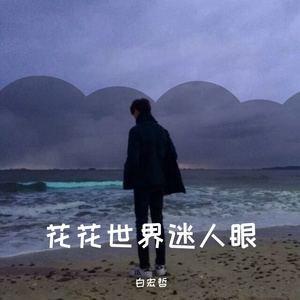 花花世界迷人眼（DJ版）