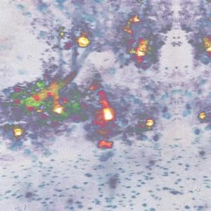 cH0vX!4N9(prod. MARDEE x MEDIUM)