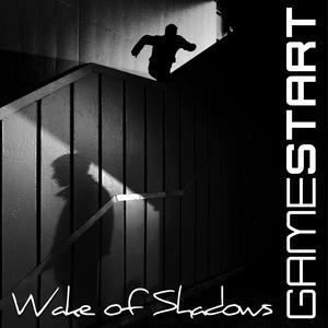 Wake of the Shadows
