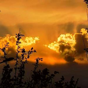 醒来以后（Prod by Red killer）