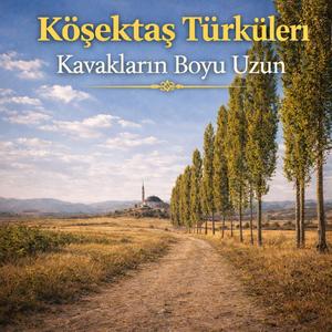 Kavakların Boyu Uzun (Bass Version)