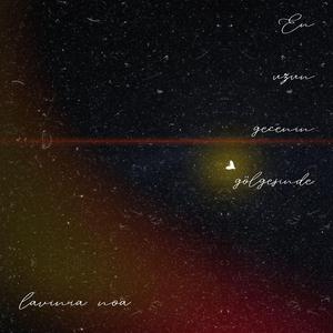 en uzun gecenin gölgesinde