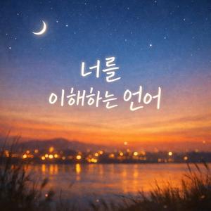 너를 이해하는 언어