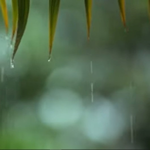 สุดทาง (Live)