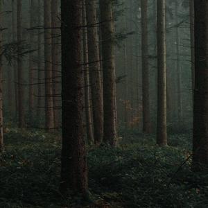 Como Devastar Un Corazon