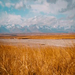 수면의 날 (숙면음악)