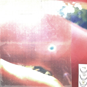 죽은 새 paper bird