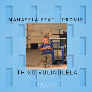Thixo Vulindlela (feat. Pronix) (Original Mix)