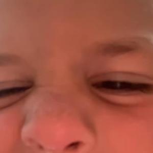 Leonardo's Italian Brainrot