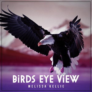Birds Eye View