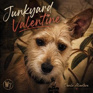 Junkyard Valentine