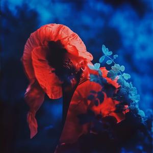 Parallels (Kind of Dusk Remix)