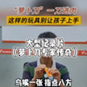 大型纪录片《萝卜刀专家传奇》